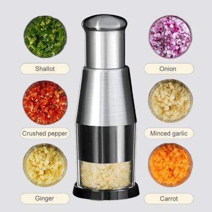 Garlic & vegetable kitchen chopper