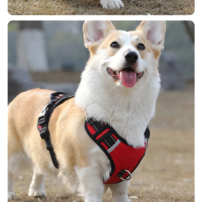 Dog Chest Vest Leash for Medium and Large Dog