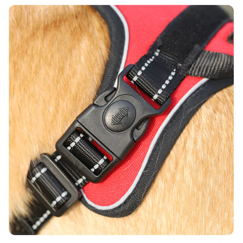 Dog Chest Vest Leash for Medium and Large Dog