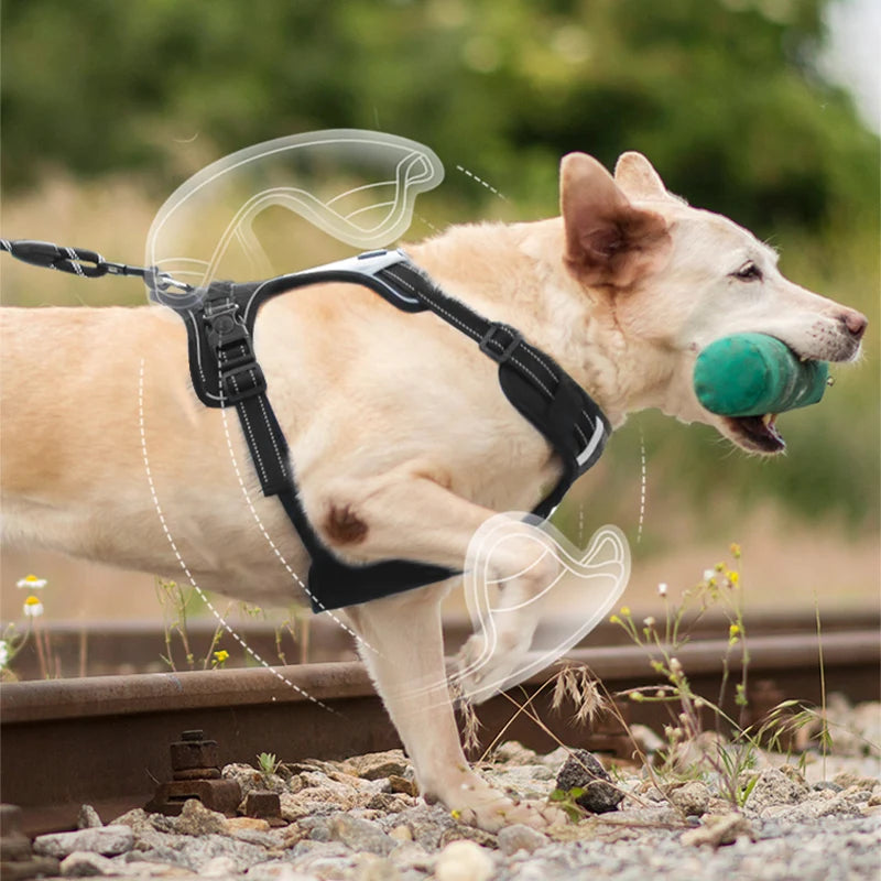 Dog Chest Vest Leash for Medium and Large Dog